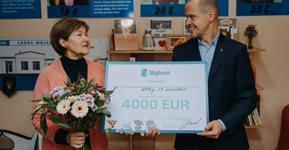 Image of Animal shelter campaign